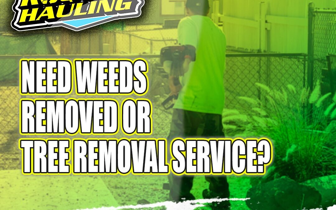 Need a tree removed, or the weeds have just completely taken over the yard, Not a Problem lets the pros handle it!